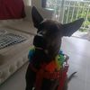.miguel_022