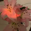 mnaaa.dng