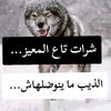 wael.batna.05