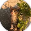 httpss_nabeel