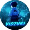 Vidzuki