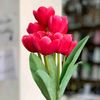 .ghalaa70