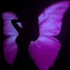 prettyinpurple5