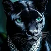 lionda79