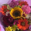 .yordan77