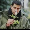 ary.hawlery4