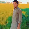 seraizaherlashari