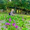 trn.th.kiu.trinh90