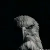 le_othman_