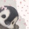 yunaa_rre5