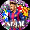 siam_1006