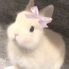 araa_4you0