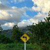 efarpi_