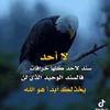 user3684225861233