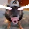 Kirby Song