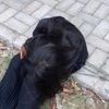 _lincakzxx