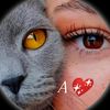 user1624171204453