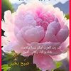 saira.khan8756