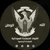 user80196013827176