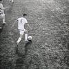 35aalper_