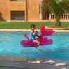 sifi.toutou