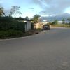 cely8677
