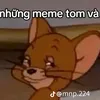 stjuh8