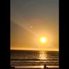 .andrea704