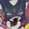 raccoonstor