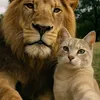 eman_9_25