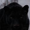 mohamed.naji08
