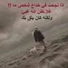 yasf1986