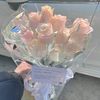 aiaru_2028