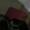 emillygurv5