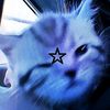 cuteeeecut