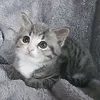 avaou71