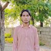 sarder561