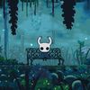 hollowknight071