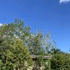 omsin_2134