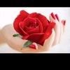 user8798497869041