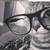 kitty_g29