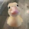 haiyencute036