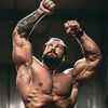 gym.warrior5
