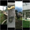 kang.barna.kelana