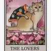 xemtarot.07