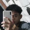 t_dandi