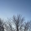 mir_00283