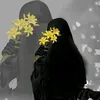 husseinmohammed3929