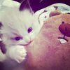 keylaradsk_
