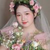 liyang277